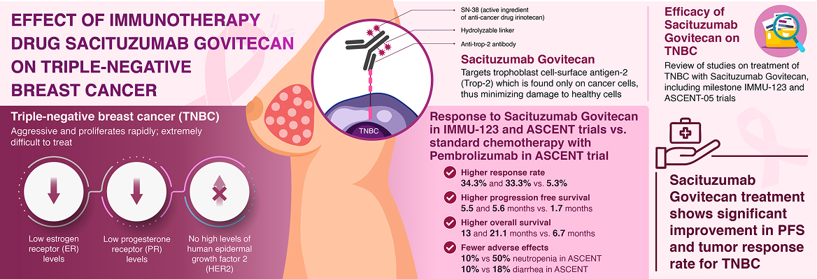 Graphical Abstract